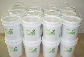 LNE-881Ĥ�Ú�����